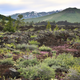Image for article titled Why Congress Can Sell Off Our National Forests, But Not National Parks